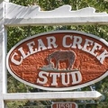 Clear Creek Stud LLC