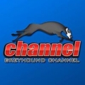 The Greyhound Channel