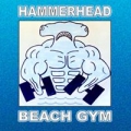 Hammerhead Beach Gym