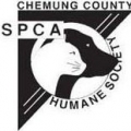 Chemung County Humane Society & Spca