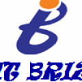 Itbriz LLC