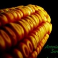 Artesian Seed Service