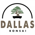 Dallas Bonsai Gardens