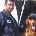 United States K-9 Academy & Police Dog Training Center Inc