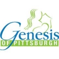 Genesis of Pittsburgh
