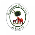 R Furlaud Equine Rescue of Aiken