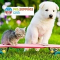 Pet Supplies Club
