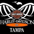Harley Davidson /Buell of Tampa