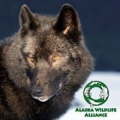 Alaska Wildlife Alliance