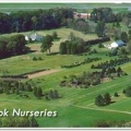 Stony Brook Nurseries