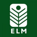 Elm Staffing