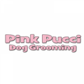 Pink Pucci
