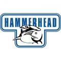 Hammerhead Paintball Barrels