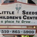 Little Seeds Children's Center