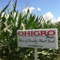 Ohigro Inc
