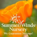 Summerwinds Nursery