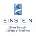 Albert Einstein College of Medicine of Yeshiva Uni