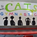 Cats Gymnastics of Jupiter