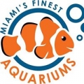 Miami's Finest Aquariums