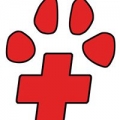 Animal Emergency Clinic of North Alabama Inc