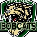 Ny Bobcats