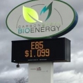 Carbon Green Bioenergy LLC