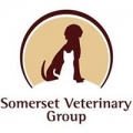 Somerset Veterinary Group Pa