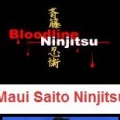 Maui Saito Ninjitsu