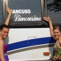 Mancuso Limo & Buses