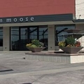 M. Moose