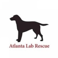 Atlanta Lab Rescue