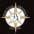 Punctual Abstract Co Inc