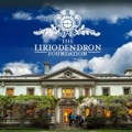 Liriodendron Foundation Inc