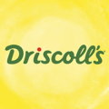 Driscoll Strawberry Associates
