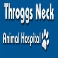 Animal Clinic & Surgery Of Throggs Neck Pc