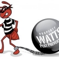 Watts Pest Prevention