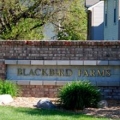 Blackbird Farms Apartments I & II