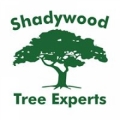 Shadywood Tree Experts