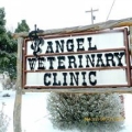 Angel Veterinary Clinic