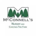 McConnell's Christmas Tree Farm
