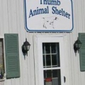 Thumb Animal Shelter