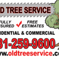 Old Tree Service