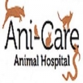 Ani Care Animal Hospital
