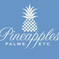 Pineapples Palm Etc