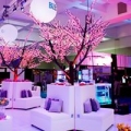 One Stop VIP Party Rentals