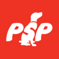Psp & Digital Inc
