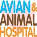 Avian & Animal Hospital LLC