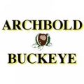Archbold Buckeye