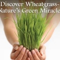 Wheatgrass and Sprouts LLC