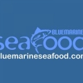 Blue Marine Inc